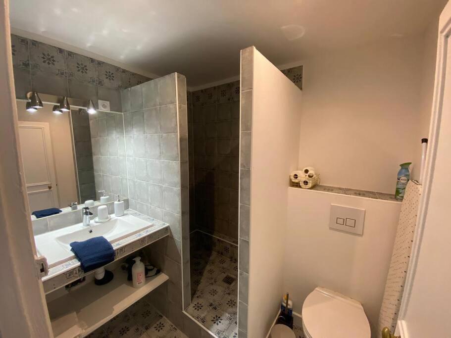Coeur De Notre Dame - 3 Pieces Apartment Versailles